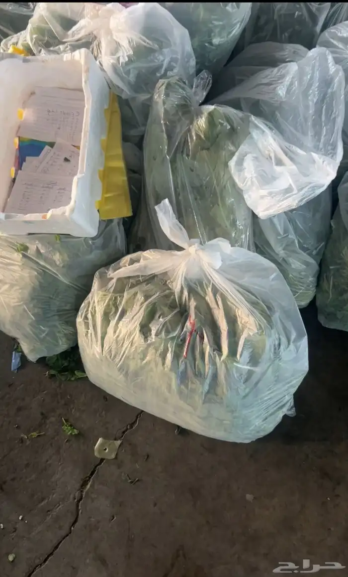 خضروات وفيه شويه يوجد وفواكة ب سعر الجمله لي لطلب اتصل نصل 2