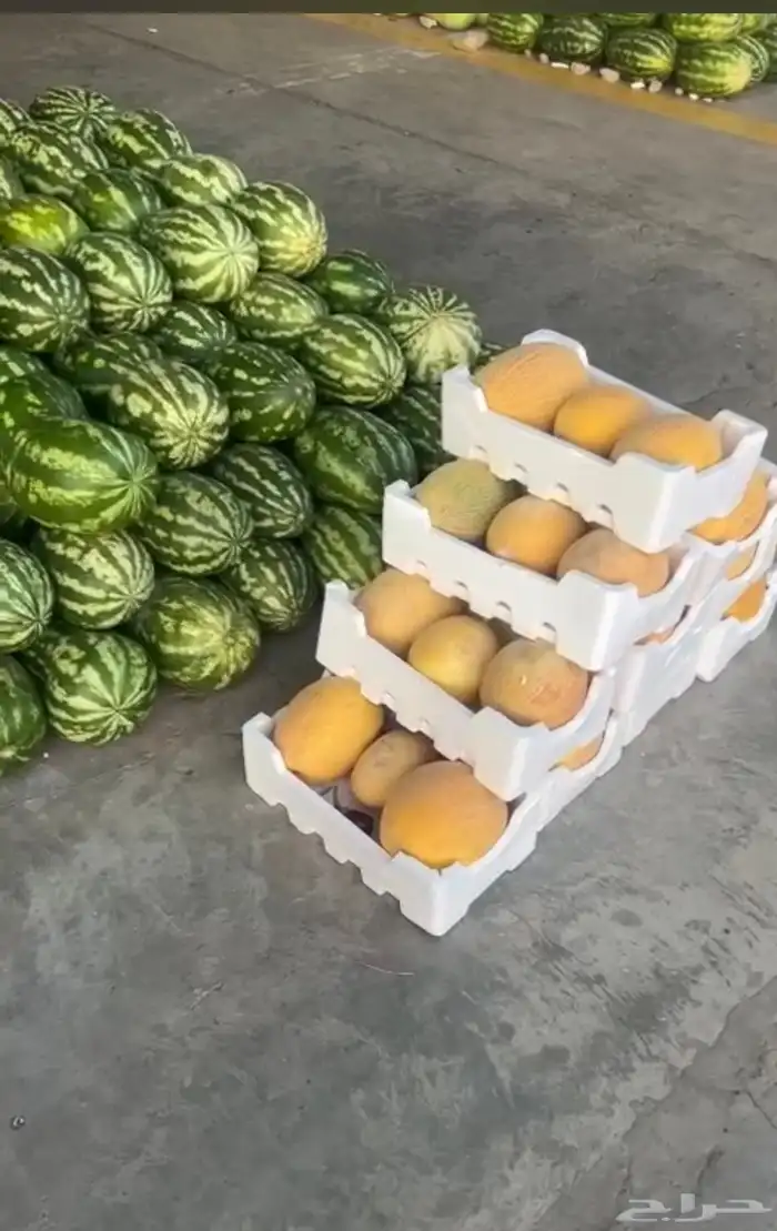 خضروات وفيه شويه يوجد وفواكة ب سعر الجمله لي لطلب اتصل نصل 3