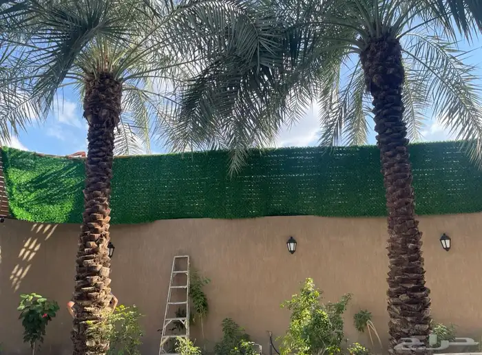 حاجز وساتر عشبي للحدائق والاستراحات 12