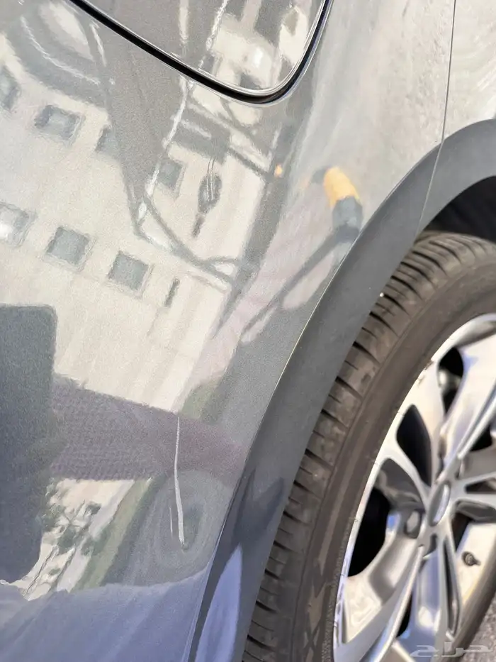 بنيراي فل 2022 1