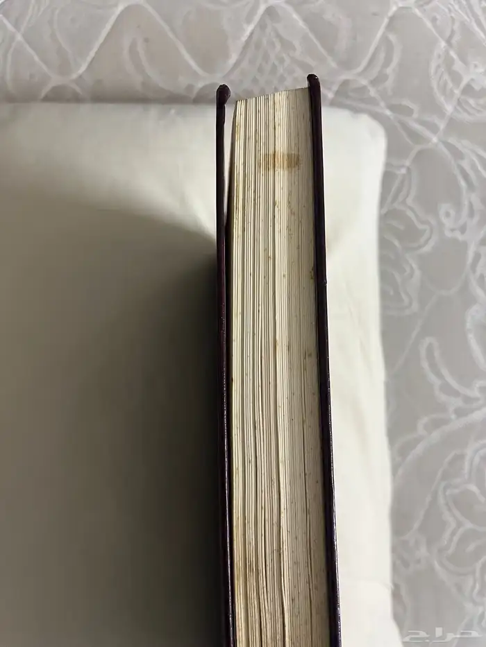 مصحف العمدة في غريب القران 6