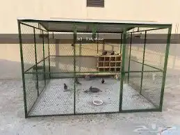 شبك بقلاوه حمام دجاج قطط كلاب 23