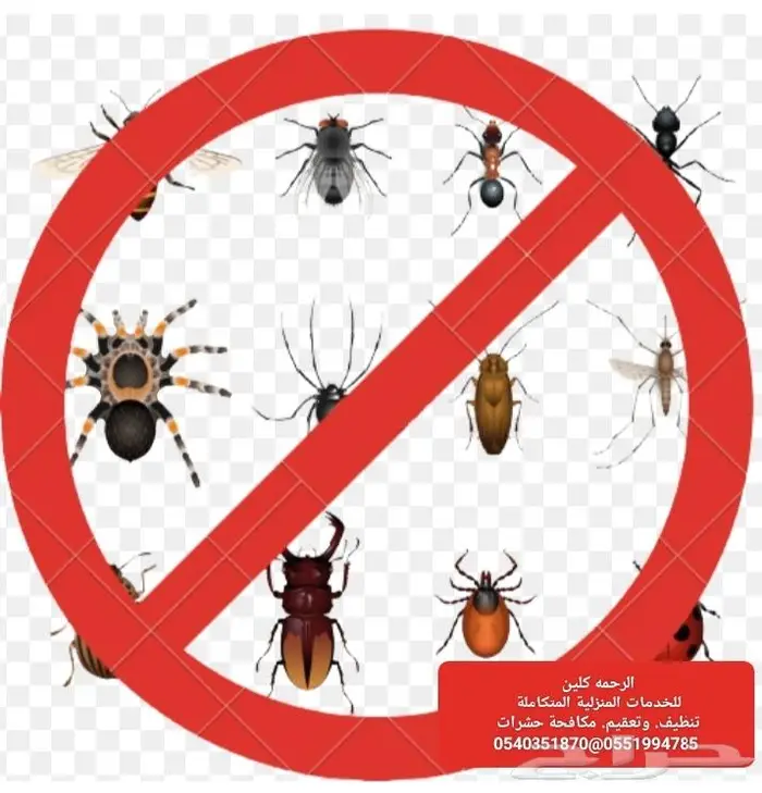 شركة تنظيف بالرياض مكافحة حشرات ورش مبيدات الحشرات بالرياض 9