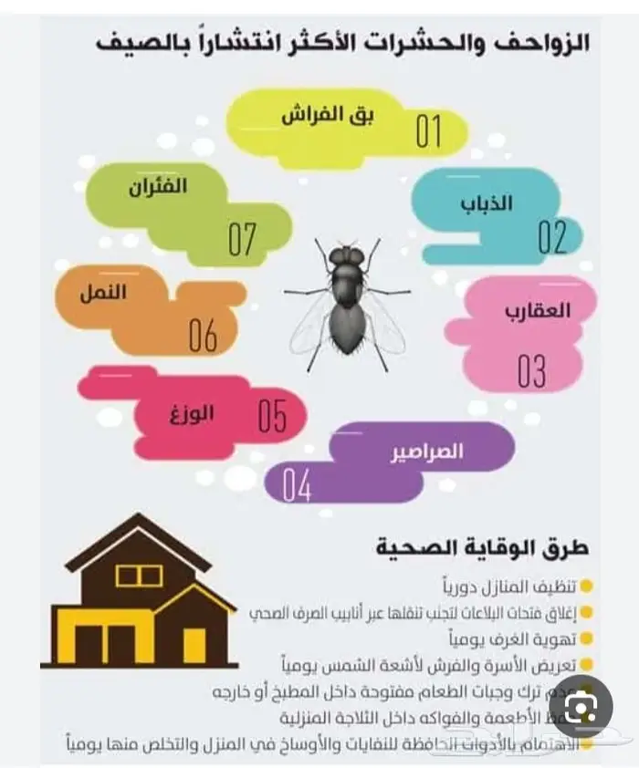 شركة تنظيف بالرياض مكافحة حشرات ورش مبيدات الحشرات بالرياض 7