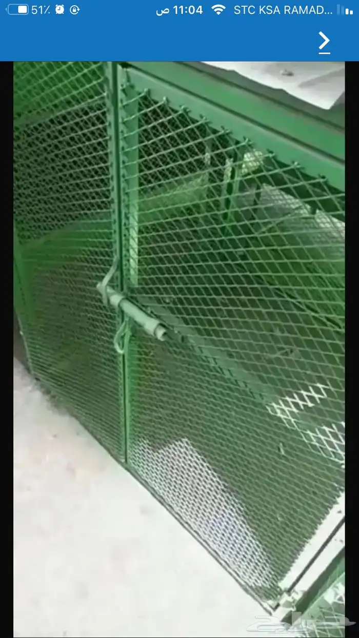 شبك بقلاوه حمام دجاج قطط كلاب 4