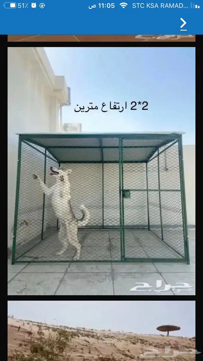 شبك بقلاوه حمام دجاج قطط كلاب 5