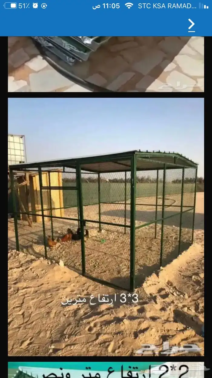 شبك بقلاوه حمام دجاج قطط كلاب 10