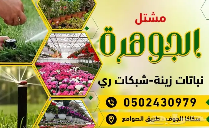 نجيل طبيعي اشجا رزينه تصميم جلسات 0
