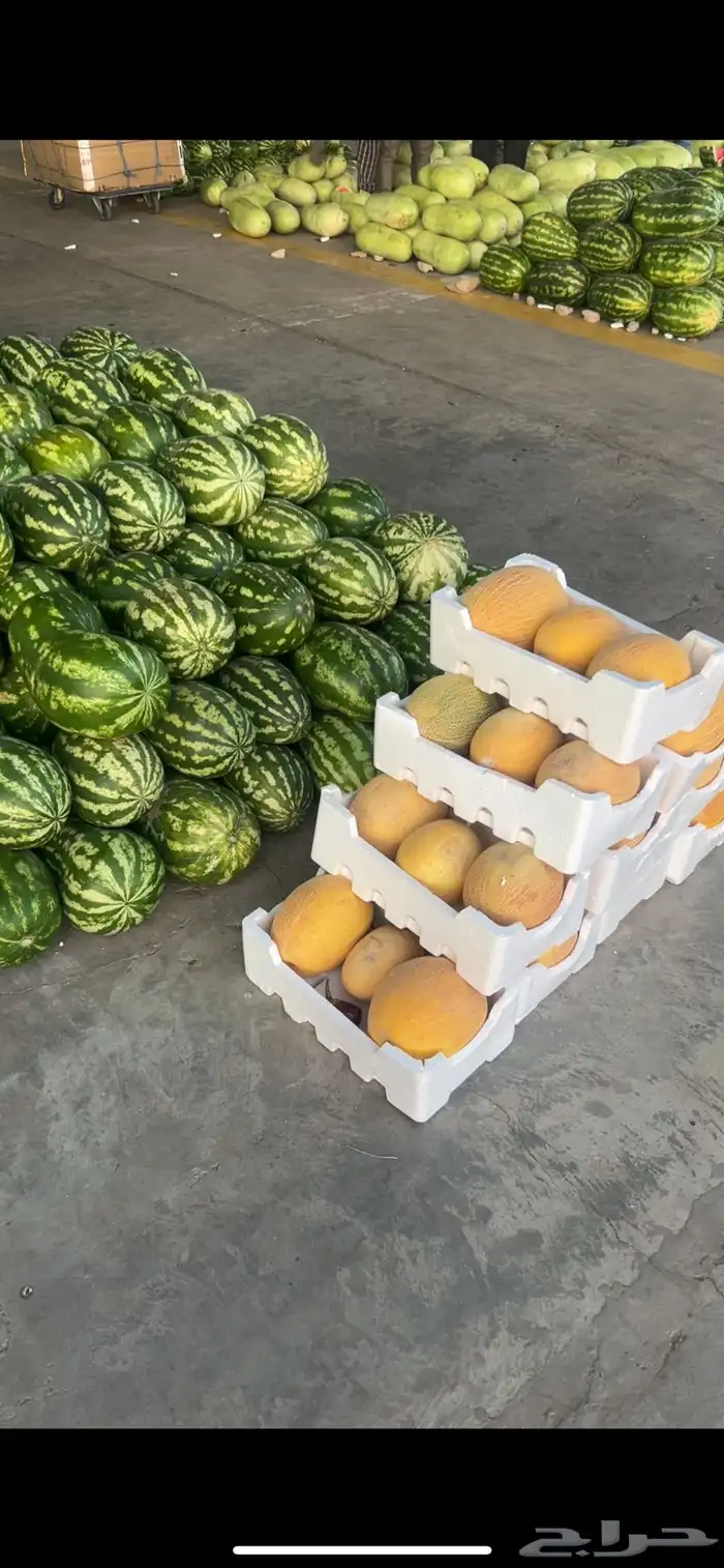 خضروات وفيه شويه يوجد وفواكة ب سعر الجمله لي لطلب اتصل نصل 4