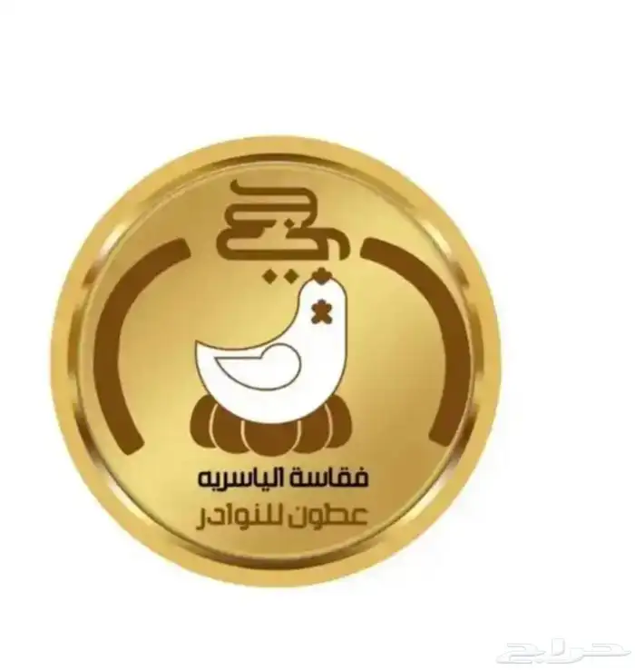 فقاسات الياسريه بنضام التبريد 4