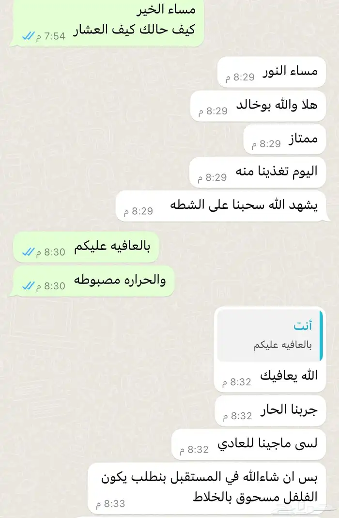 شطه بالفلفل والليمون 3
