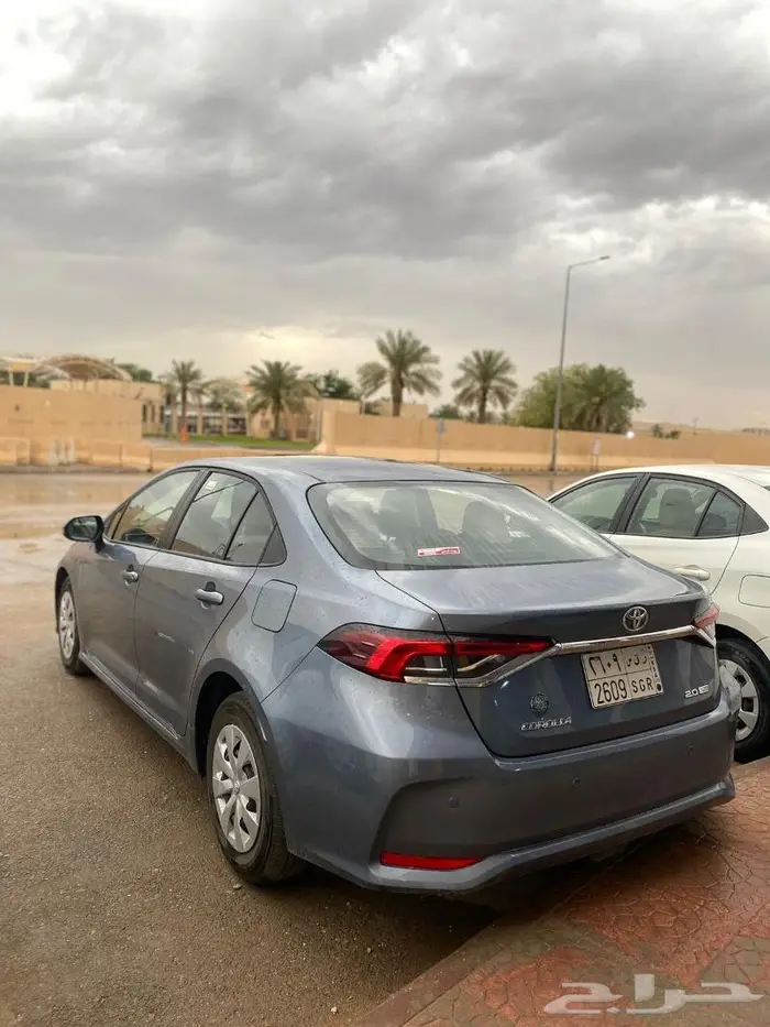 ايجار - شهري - قطاع اعمال (شركات) 1