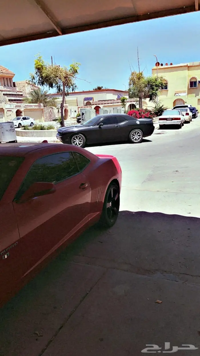 دوج تشالنجر 2013 6سرندل 19