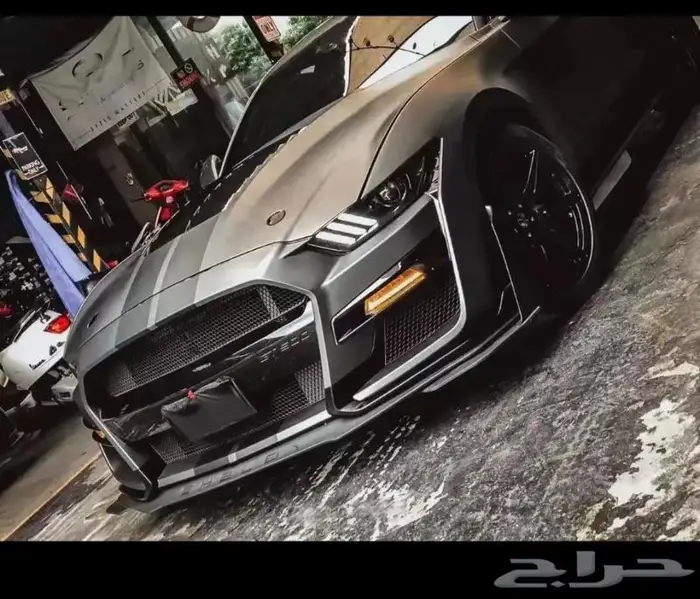 دقن موستنج RTR 2015 متنوعه كتات شلبي 6