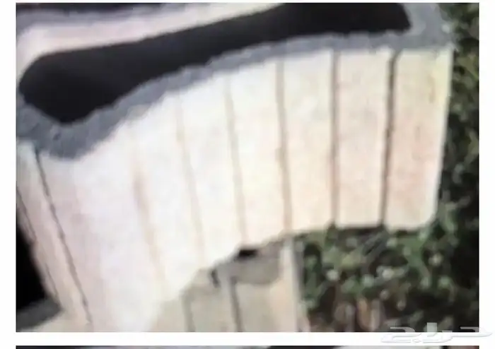 مراكن زرع من الأسمنت مراكن اسمنتيةوشجر اللوز الهندي 2