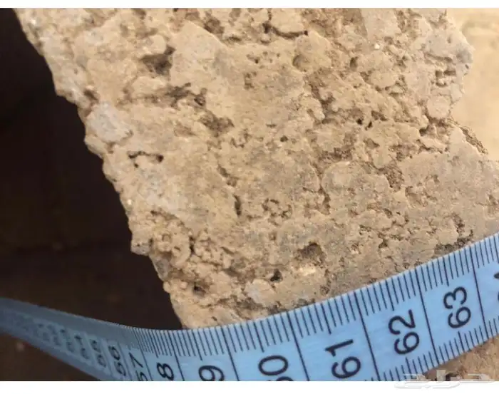 مراكن زرع من الأسمنت مراكن اسمنتيةوشجر اللوز الهندي 16