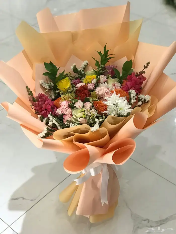 منسق خبره سنوات مصري خطاط 2