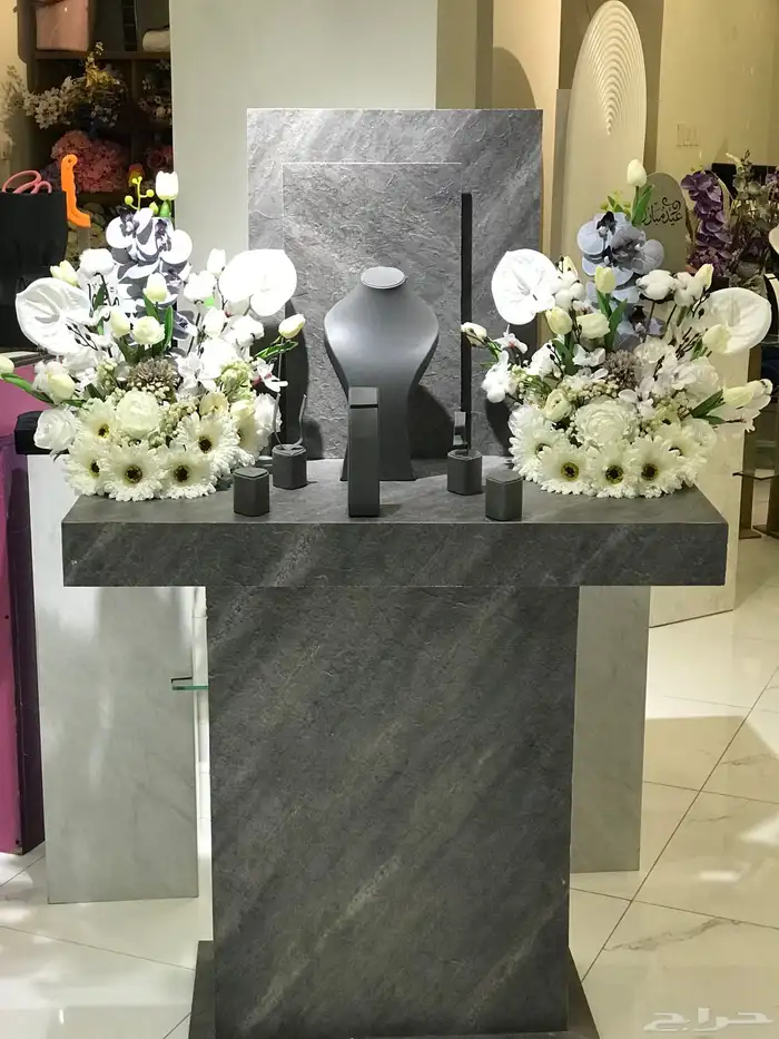 منسق خبره سنوات مصري خطاط 11