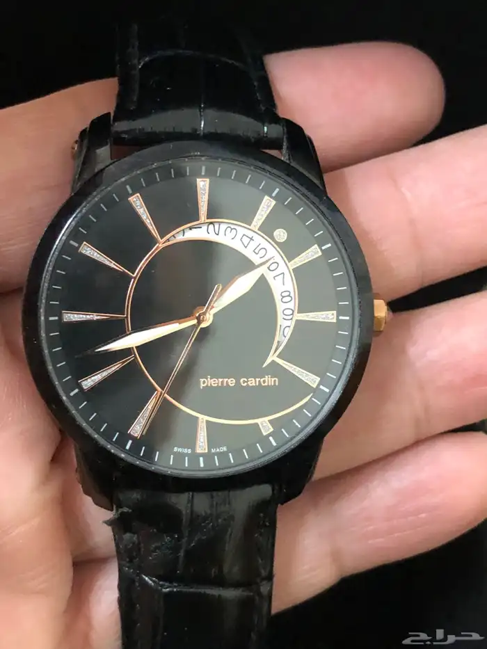 ساعة رجالي سوسري Pierre Cardin 0