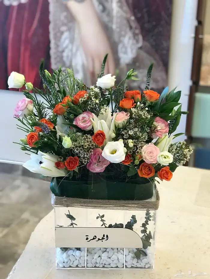 منسق خبره سنوات مصري خطاط 17