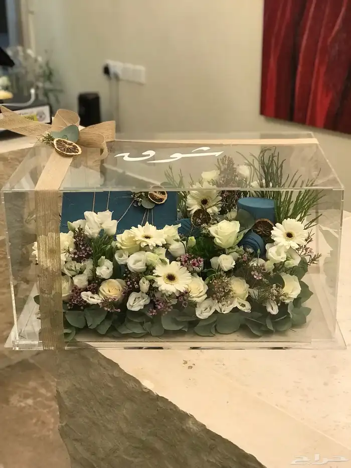 منسق خبره سنوات مصري خطاط 20