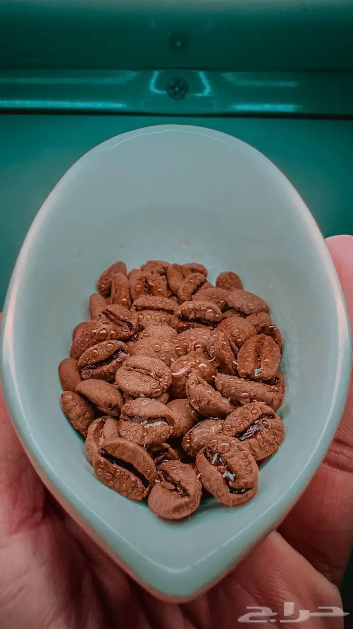 قهوة مختصة 0