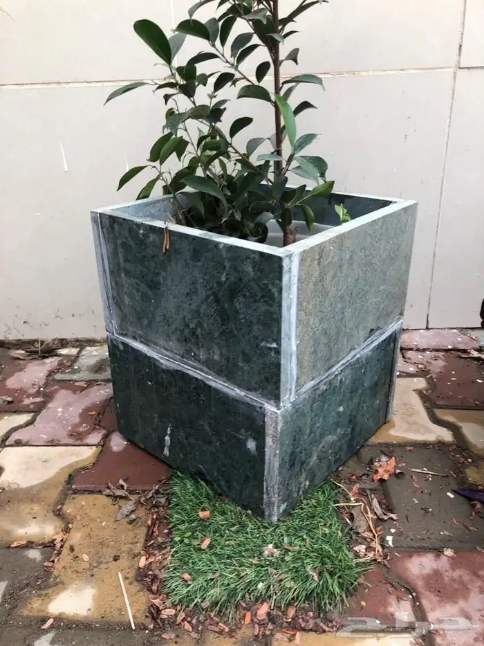 مراكن زرع من الأسمنت مراكن اسمنتيةوشجر اللوز الهندي 5