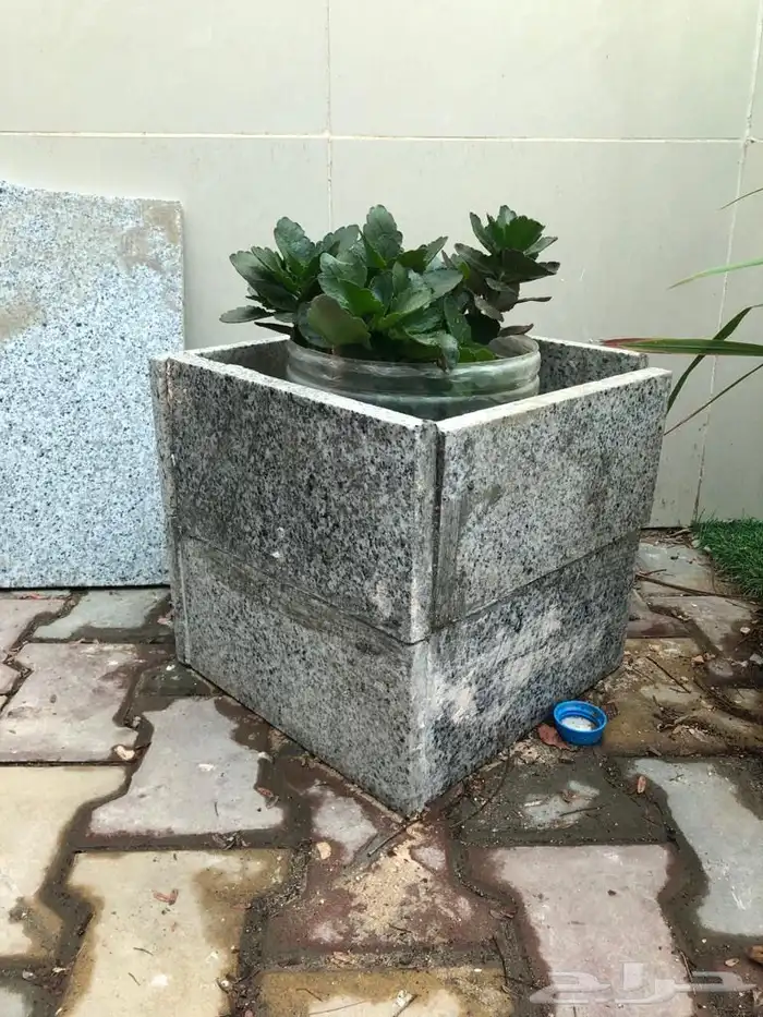 مراكن زرع من الأسمنت مراكن اسمنتيةوشجر اللوز الهندي 7