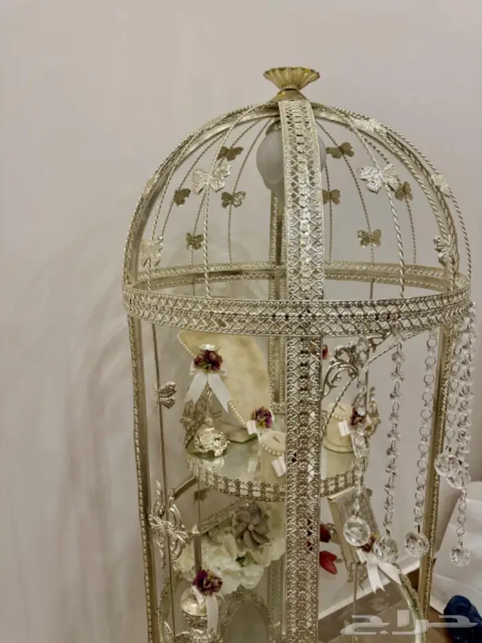 عربية ملكة 6
