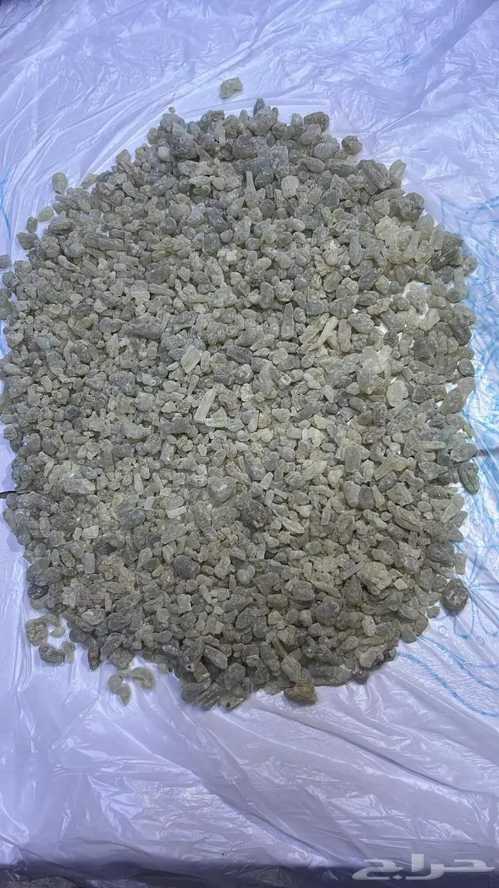 تصفية لبان حوجري عماني كيلو 149 ريال 1