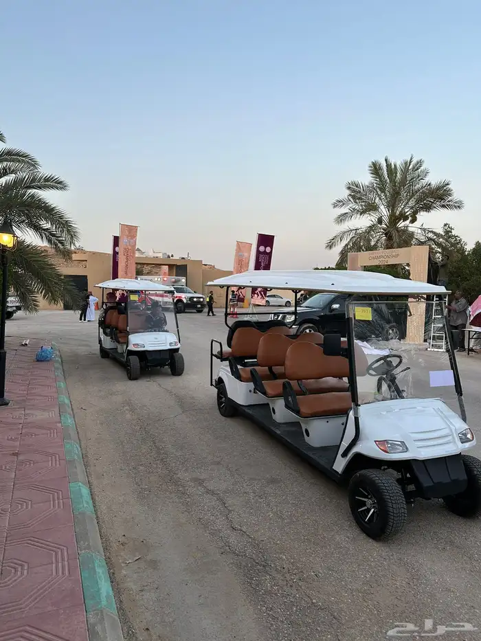 Golf carts 4