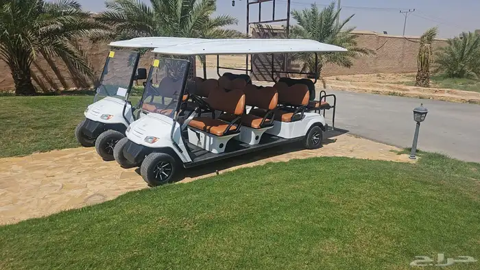 Golf carts 1