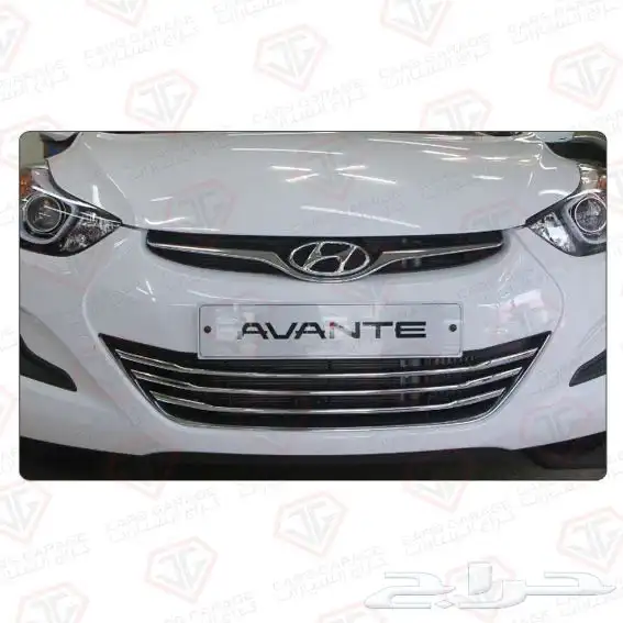 نيكل شبك النترا 2012 - 2013 1