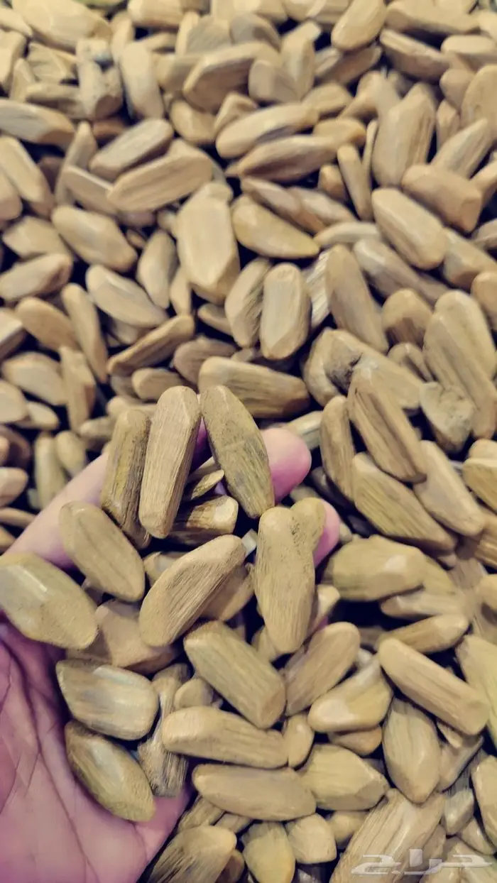 عود مروكي محسن بسعر بطل يصلح للبيت والمكاتب 0