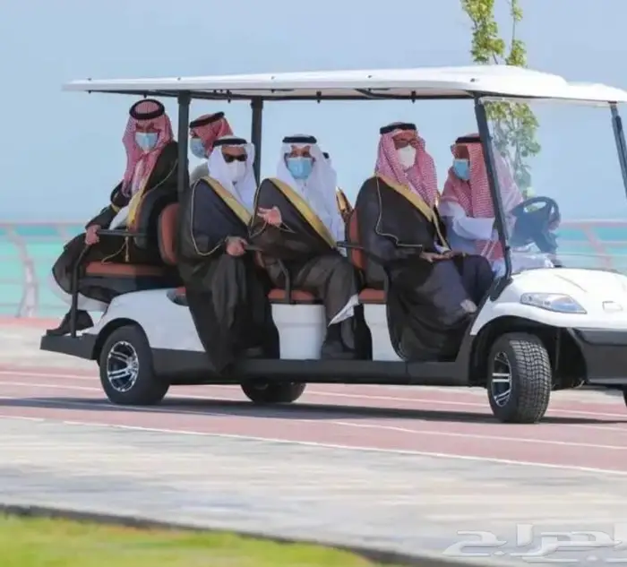 Extraordinary Golf Cart And Utility Buggies 1