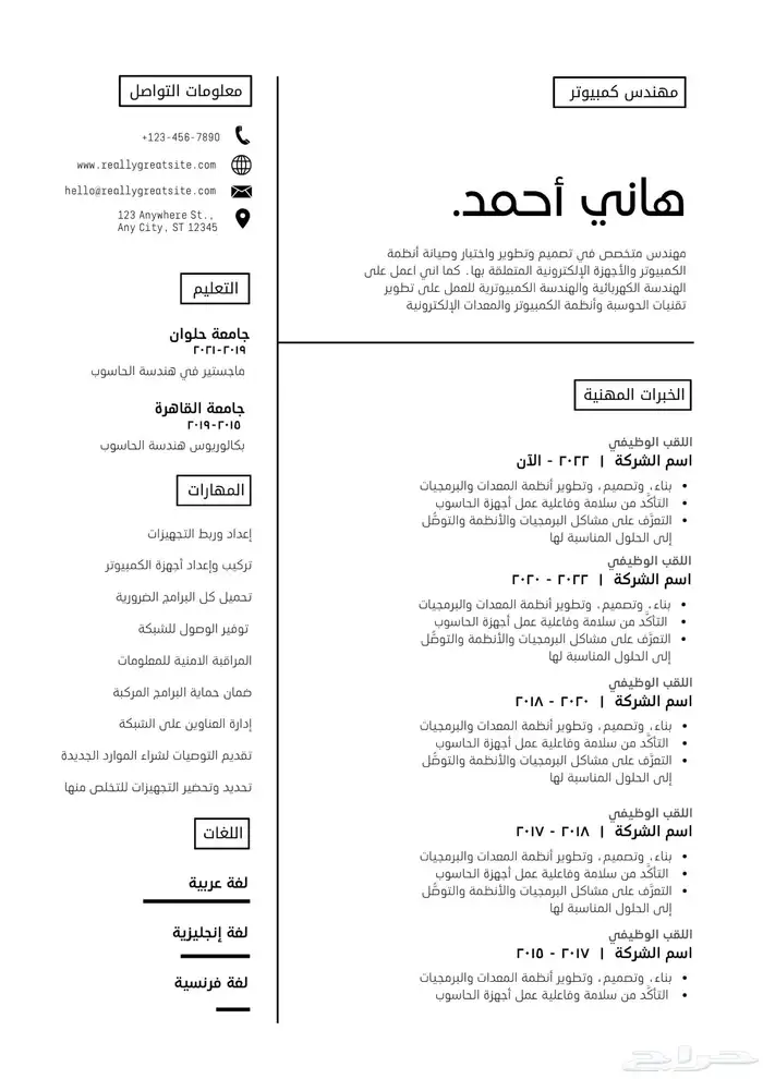 سيرة ذاتية احترافية ( cv ) 0