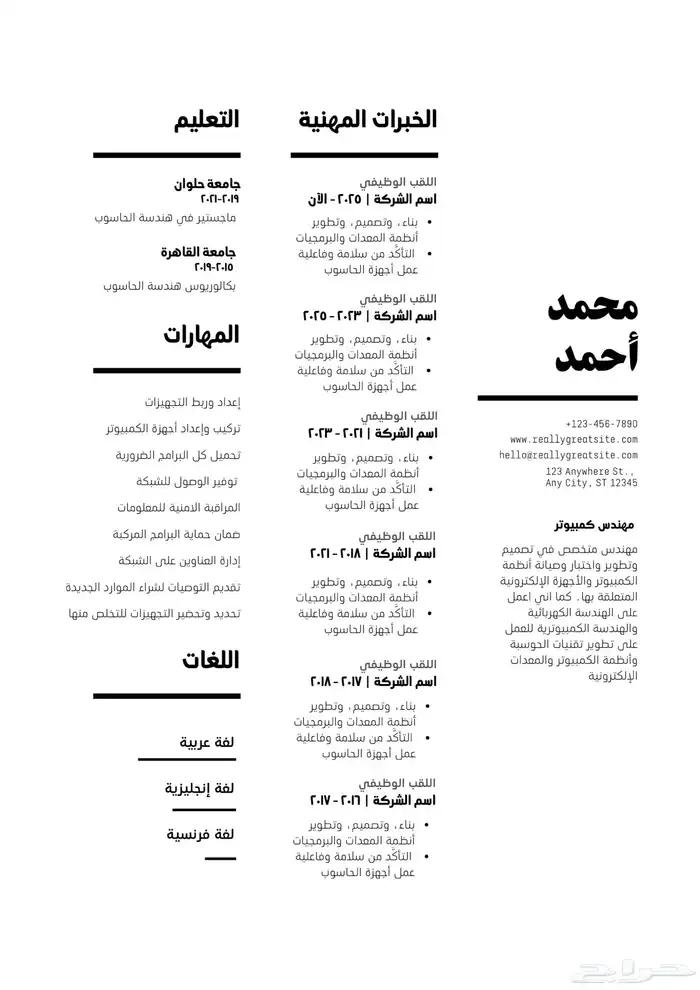 سيرة ذاتية احترافية ( cv ) 3