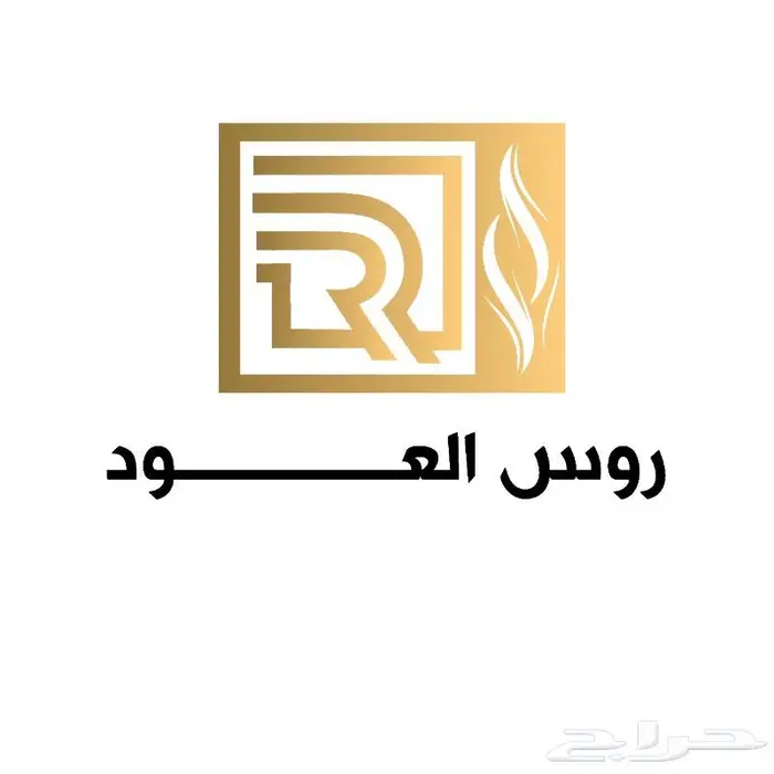 مصمم شعارات ولوقو محترف للمؤسسات و الشركات و لجميع الأعمال 15