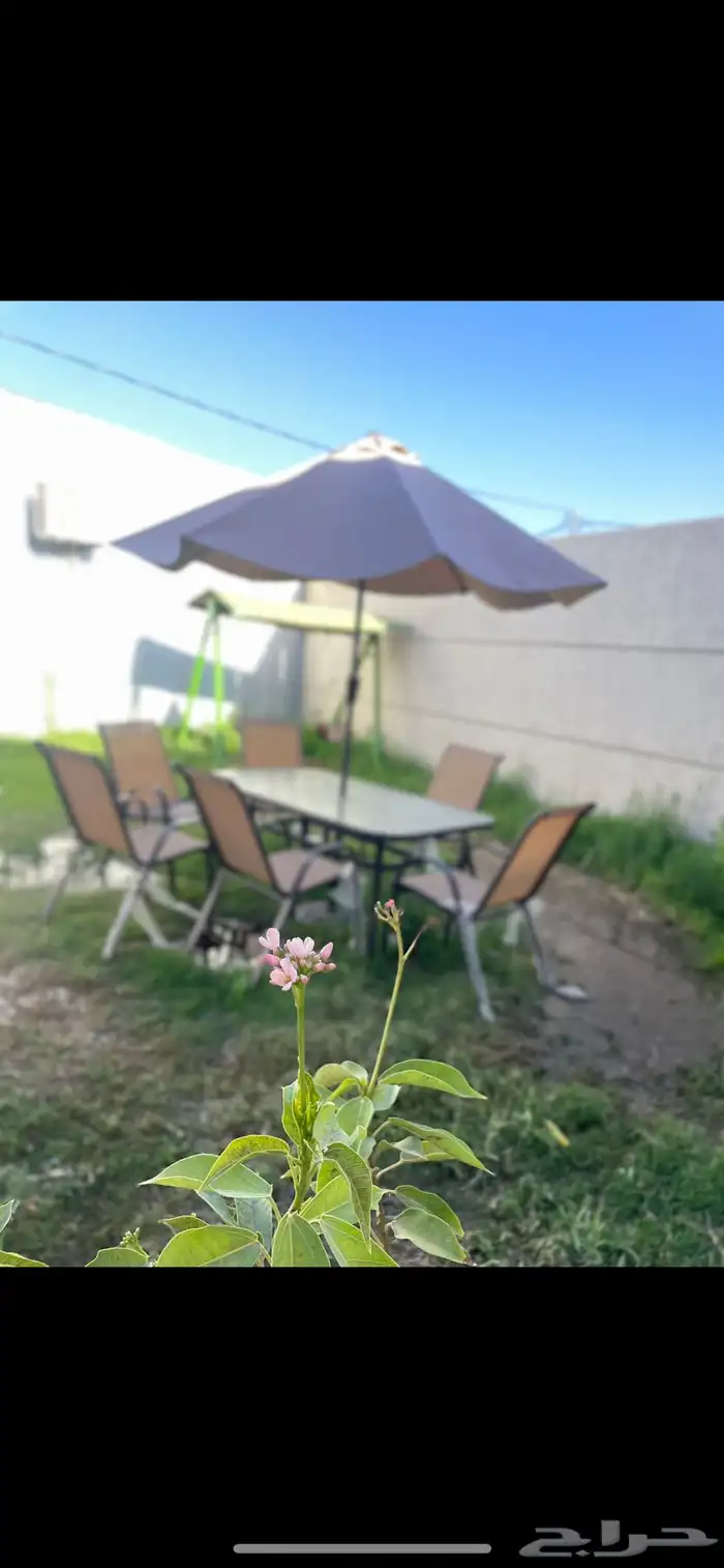 شاليهات للإيجار بالساعات او اليوم 7