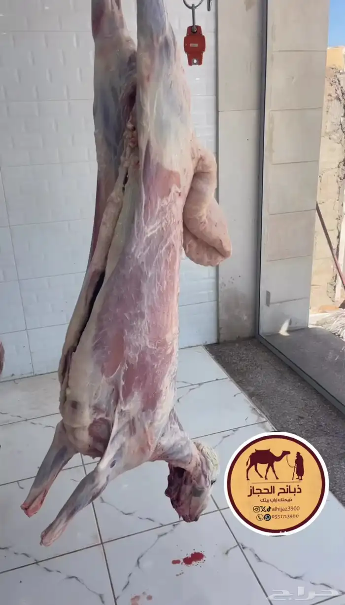 ملحمة ذبائح الحجاز مخطط البدراني 10