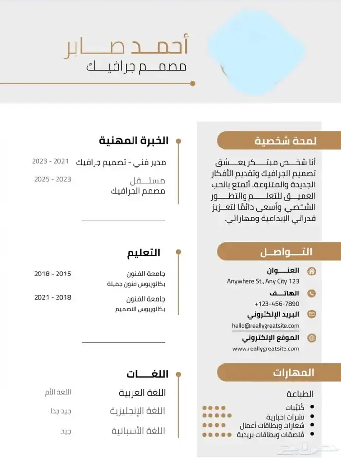 تصميم سيرة ذاتية احترافيه 1