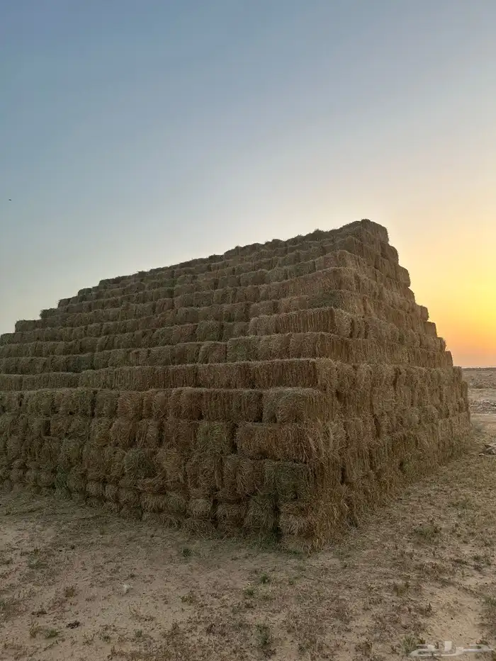 مخلوط هيبان 2