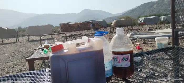 عسل من منحلي سمر سود وطلح وغذاء الملكات وحبوب اللقاح مضمون 6