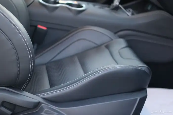 ( تم البيع ) Mustang PP1 2024 13