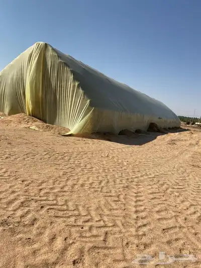 بلاستيك تغطية اعلاف وينفع للمناقع والبرك 1