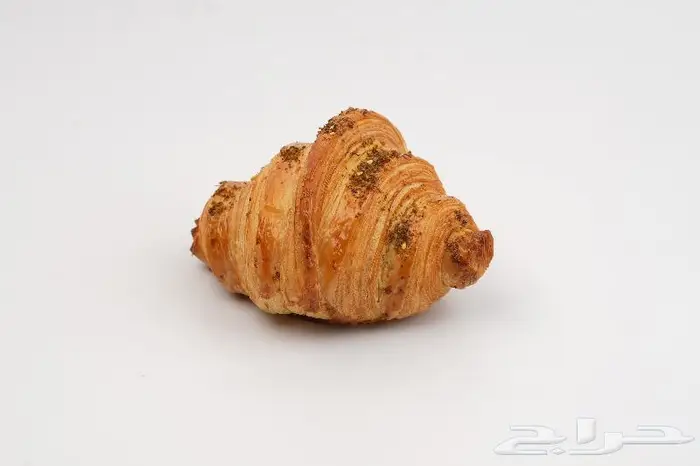 مصور فوتوغرافي محترف 11