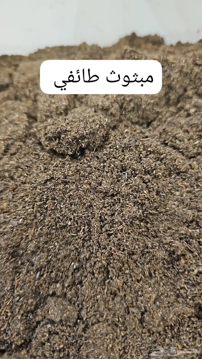 معمول طئفي ودوسري جملة. 0