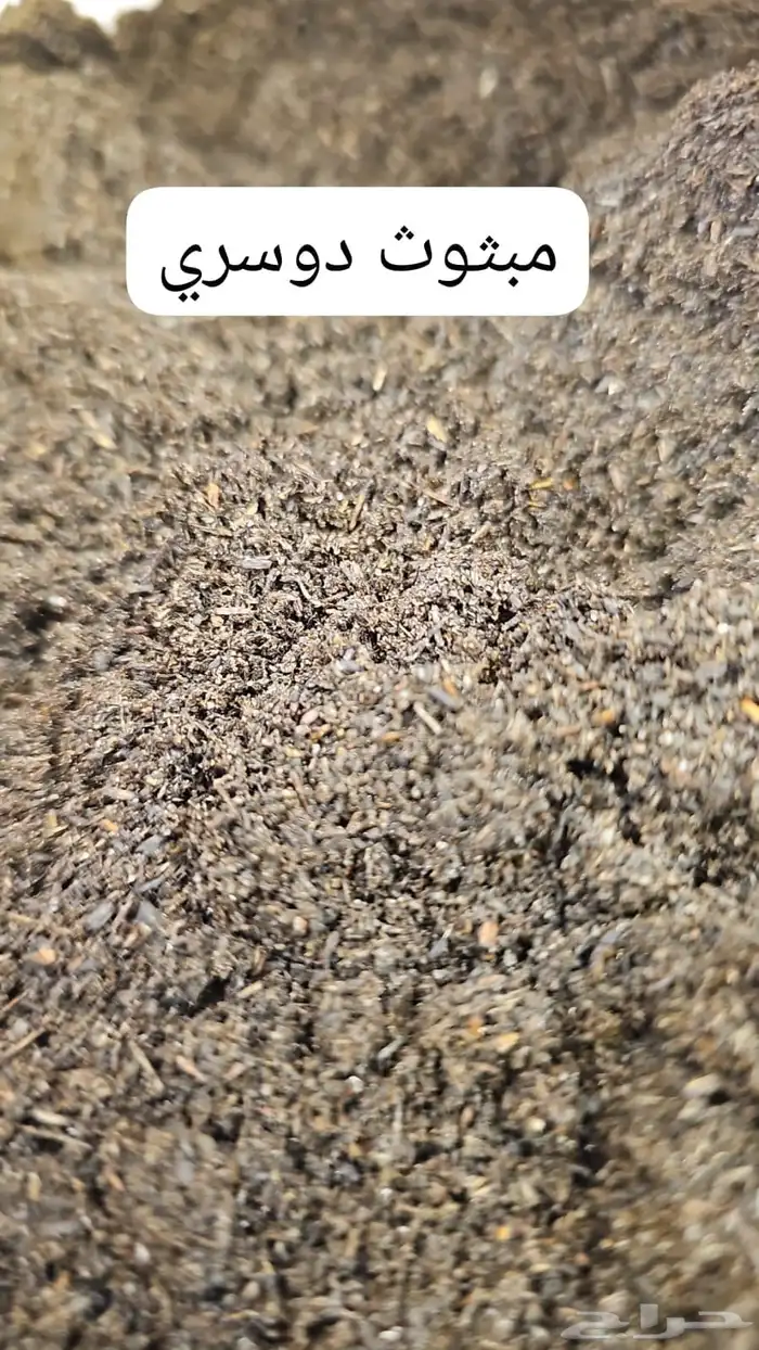 معمول طئفي ودوسري جملة. 1