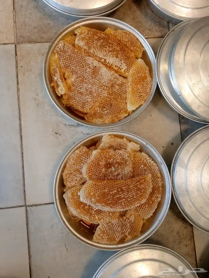 عسل من منحلي سمر سود وطلح وغذاء الملكات وحبوب اللقاح مضمون 2