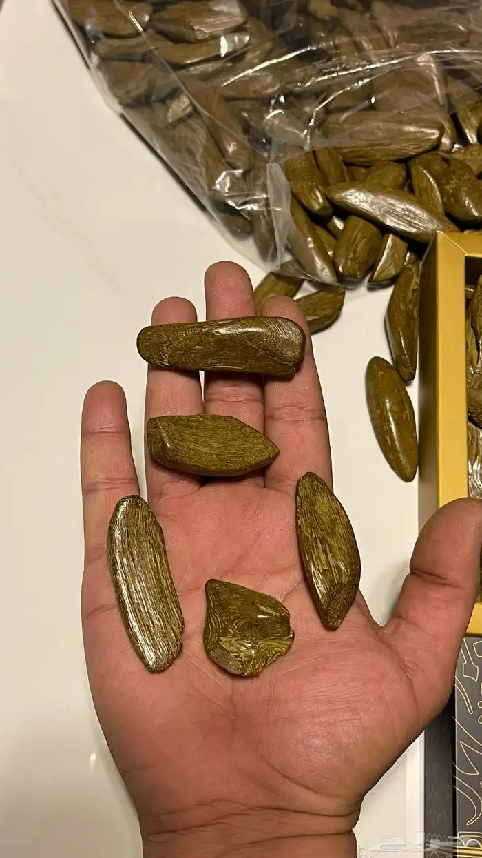 عود ملكي 0